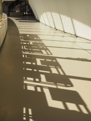 Montreal photograph 5